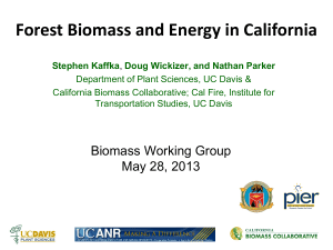 BMZ-GBSM_BiomassWorking Group May 28 2013