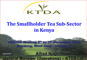 The smallholder tea sub