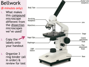 1. Microscopes & Cells