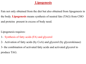 lec3 lipogenesis