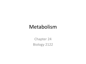 Nutrition and metabolism