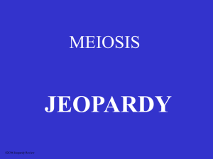 Meiosis Jeopardy - local.brookings.k12.sd.us