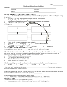 Name: Mitosis and Meiosis Review Worksheet Vocabulary cell cycle