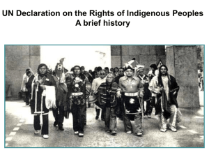 UN Declaration on the Rights of Indigenous Peoples