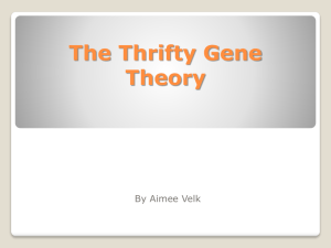 The Thrifty Gene Theory