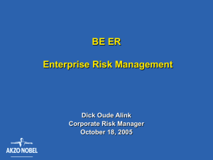 Risk Management Project Board Presentation