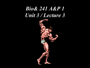 Bio& 241 A&P 1