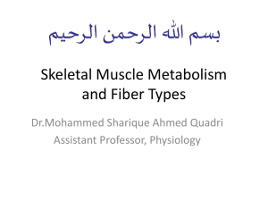 skeletal muscle metabolism and fiber types