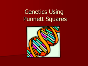 Introduction to Genetics using Punnett Squares