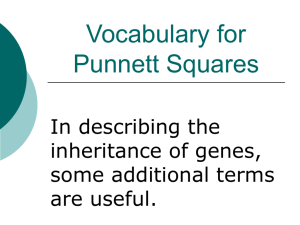 Vocabulary for Punnett Squares