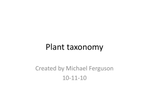 Plant taxonomy