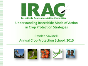 Understanding Insecticide Mode of Action in Crop Protection