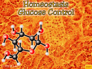 15.2 Homeostasis - Glucose Control