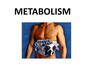 metabolism - UMK CARNIVORES 3