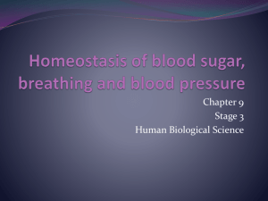 Homeostasis - Our eclass community