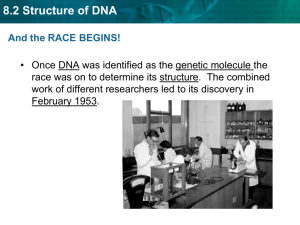 Section 8.2 Structure of DNA
