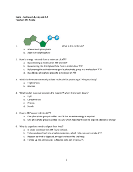 Glycolysis Worksheet