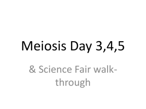 Meiosis Day 3,4,5 - FWScienceJohnson-Bio