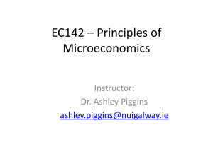 EC425 – Topics in Microeconomic Theory