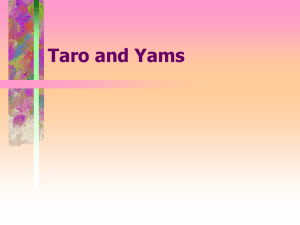 Taro and Yams - Aggie Horticulture