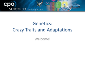 Crazy Traits - CPO Science