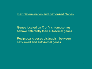 Genetics Lecture 9. Sex Determination & Linkage (1)