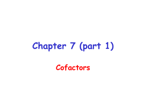 Chapter 7 (part 1)