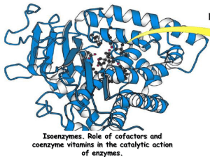 Isoenzymes. Role of cofactors and coenzyme vitamins in the c
