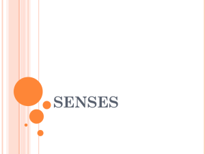 senses - local.brookings.k12.sd.us