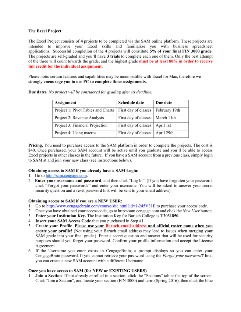 The Excel Project Description