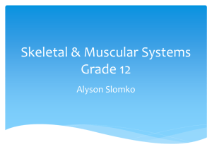 Major Systems of the Body Grade 12