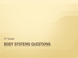 Body Systems Questions