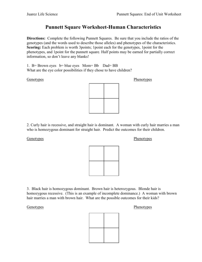 punnett square problem solving sheet answer key