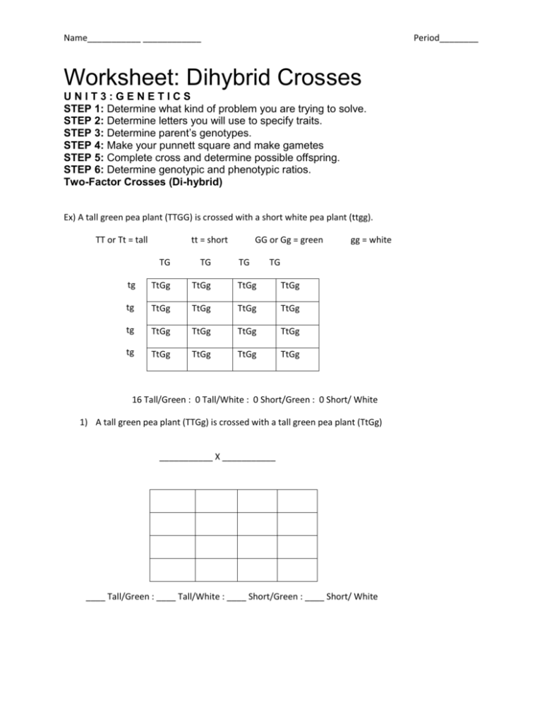 article-worksheet-dihybrid-crosses-unit-3-answer-key-worksheets-nursery