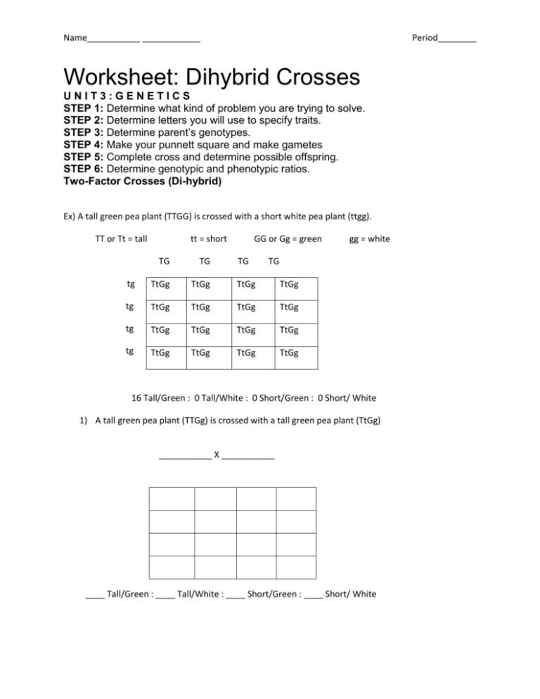 Article Worksheet Dihybrid Crosses Unit 3 Answer Key Worksheets Nursery