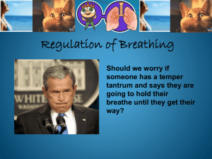 Gas transport & regulation of breathing