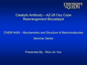 Implications For Transition-State Analogs And Catalytic Antibodies