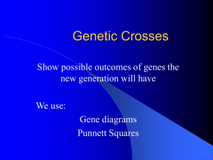 Genetic Crosses - World of Teaching