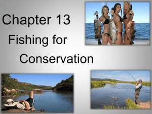 Fishing for Conservation Notes