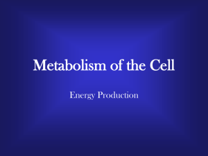Metabolism Review - CCBC Faculty Web