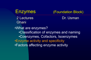 05 Enzymes-1