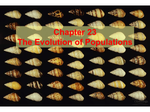 Lecture 6 - microevolution