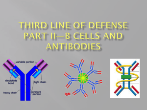 Third Line of Defense Part II*B cells and antibodies