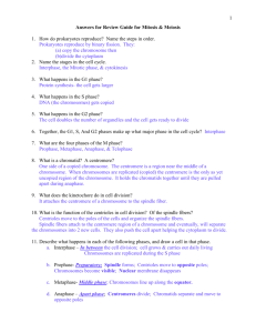 Review Guide for Mitosis & Meiosis- Answers