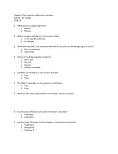 Test 3 (Meiosis/Sexual Reproduction)