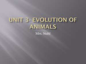 Unit 3- Evolution of Animals