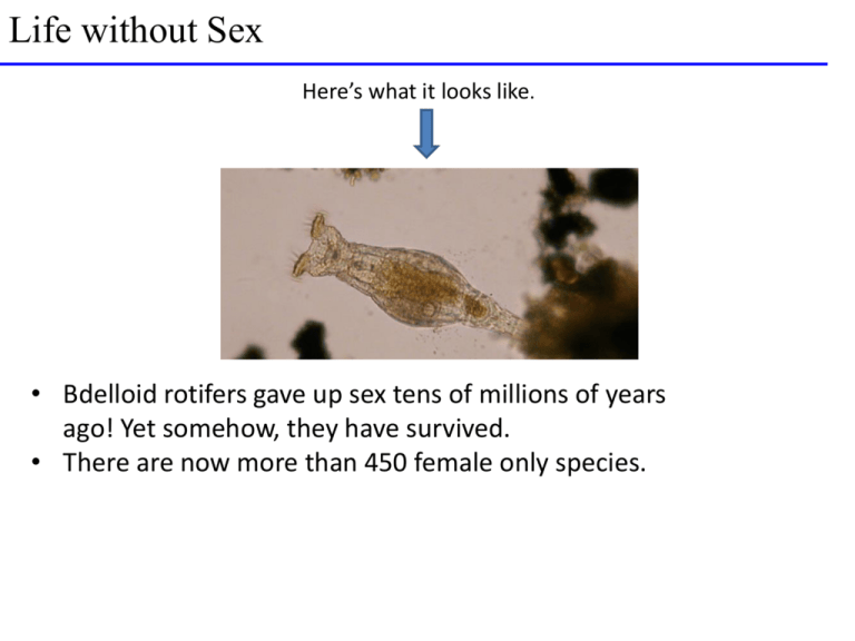 Evolution At Multiple Loci