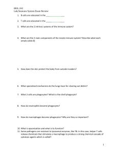 Immune System Exam Review