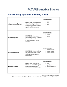 Human Body Systems Matching – KEY