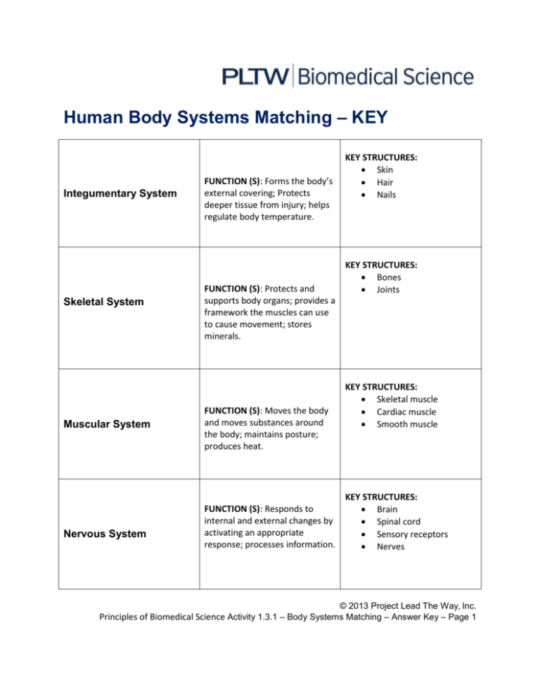 human-body-systems-matching-key